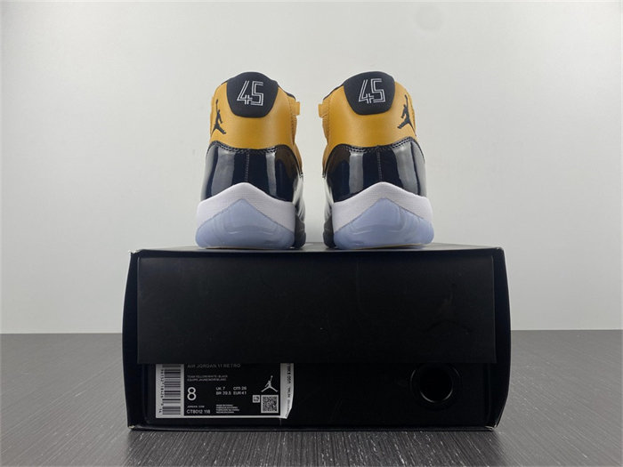 Jordan 11 CT8012-118